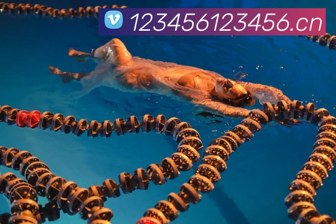 多媒体互动体验